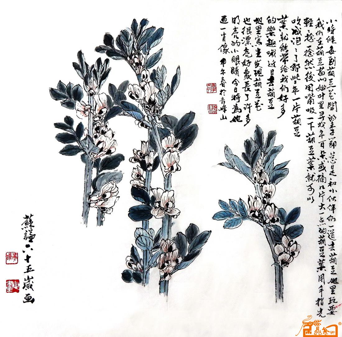 胡豆开花的季节